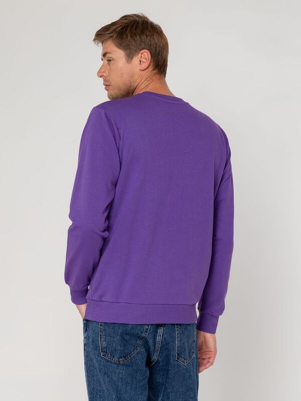 Свитшот Toima 2.0, фиолетовый арт.16214.78