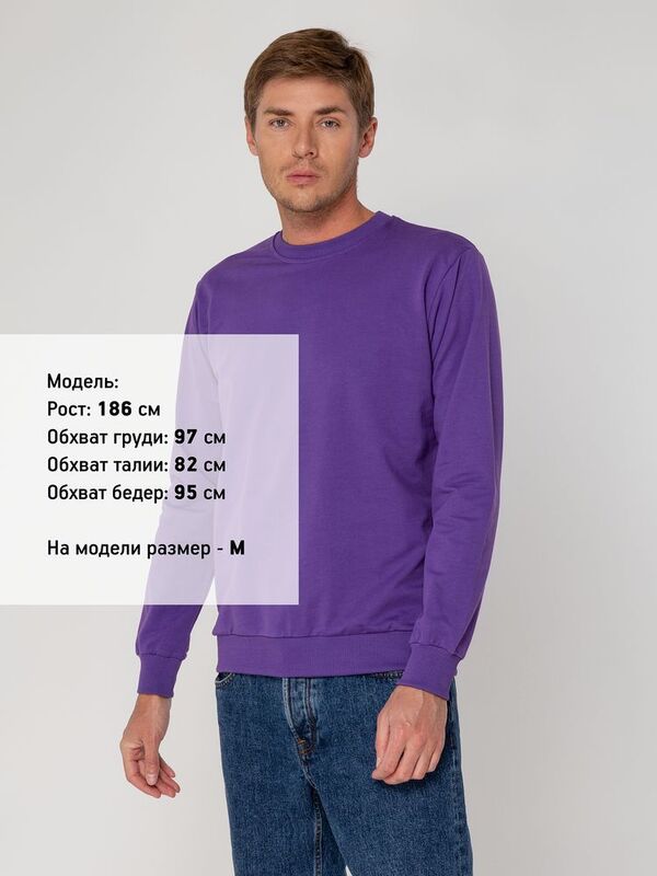 Свитшот Toima 2.0, фиолетовый арт.16214.78