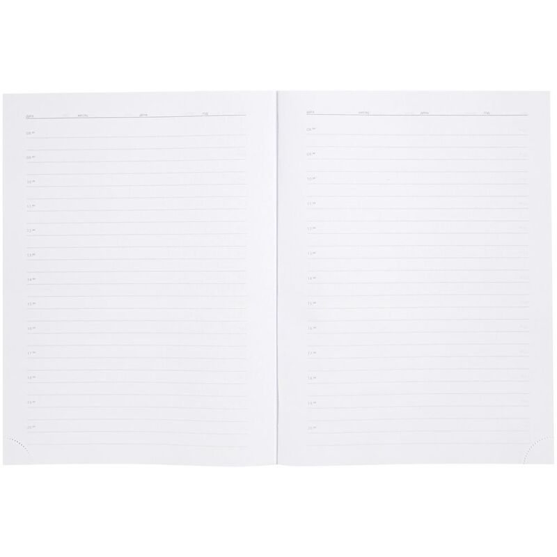 Ежедневник в суперобложке Brave Book, недатированный, серый арт.17709.11