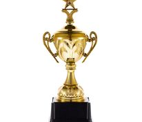 Кубок Top Star, золотистый арт.18341.01