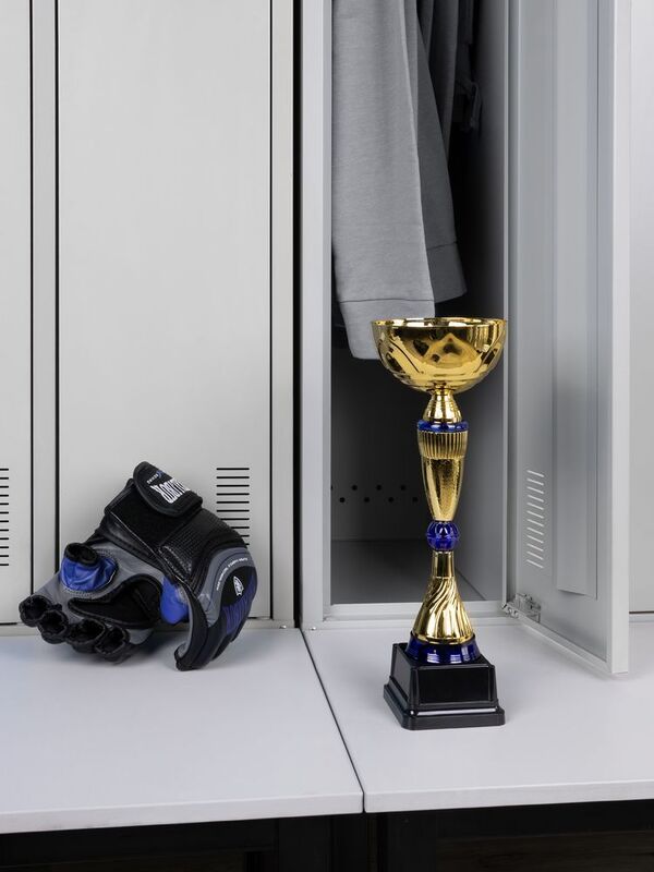 Кубок Awardee, средний, синий арт.18351.40