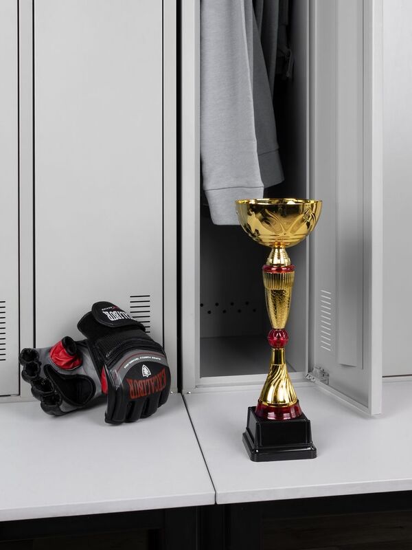 Кубок Awardee, средний, красный арт.18351.50