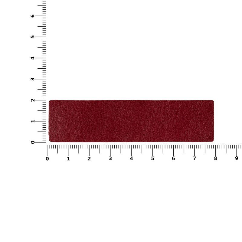 Лейбл кожаный Pasek, S, красный арт.16233.50