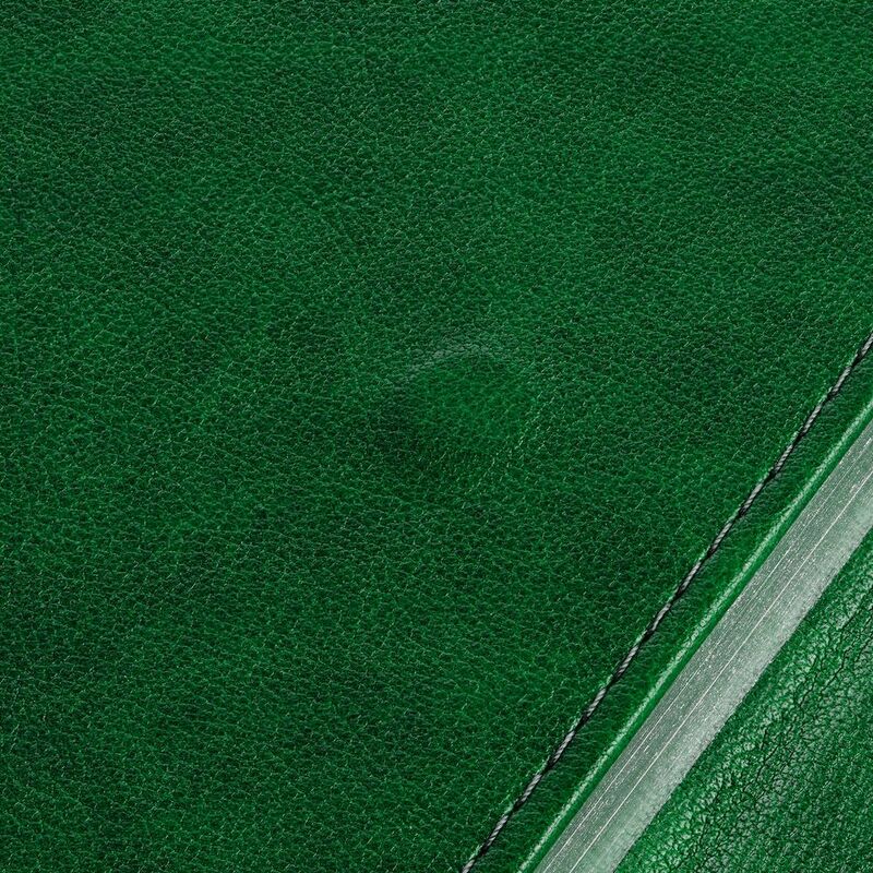 Ежедневник Flap на заказ, недатированный, зеленый арт.16684.99