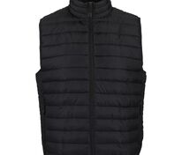 Жилет мужской Stream BW Men, черный арт.04020312