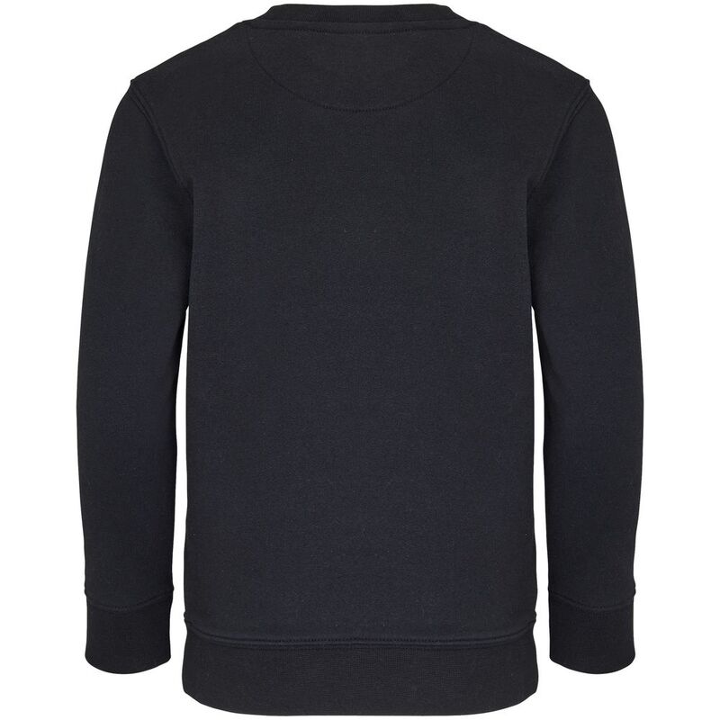 Свитшот детский Columbia Kids, черный арт.04239312