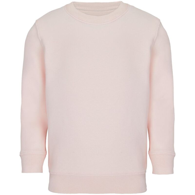 Свитшот детский Columbia Kids, розовый арт.04239143