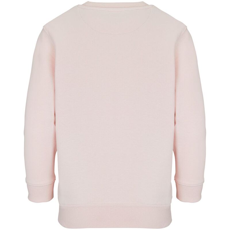 Свитшот детский Columbia Kids, розовый арт.04239143