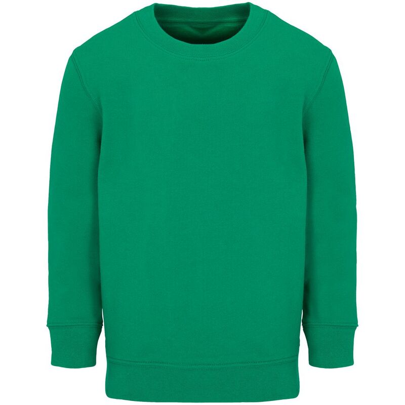 Свитшот детский Columbia Kids, ярко-зеленый арт.04239272