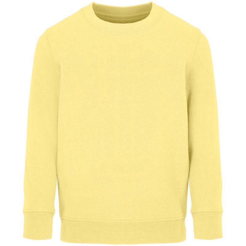 Свитшот детский Columbia Kids, светло-желтый арт.04239260