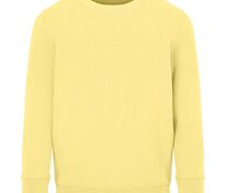 Свитшот детский Columbia Kids, светло-желтый арт.04239260