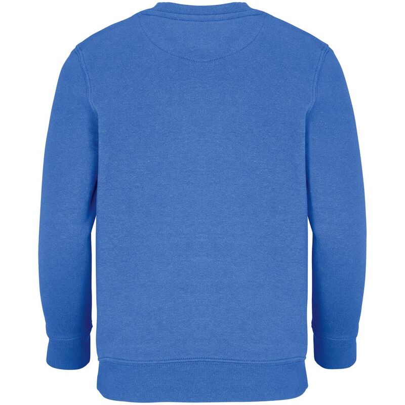 Свитшот детский Columbia Kids, ярко-синий (royal) арт.04239241