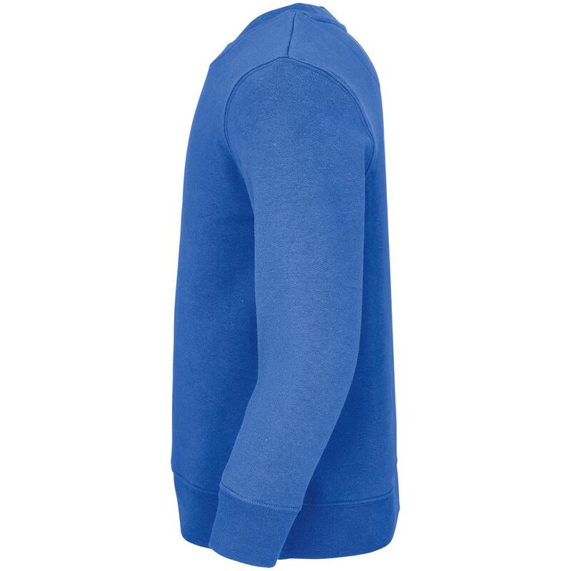 Свитшот детский Columbia Kids, ярко-синий (royal) арт.04239241