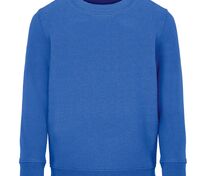 Свитшот детский Columbia Kids, ярко-синий (royal) арт.04239241