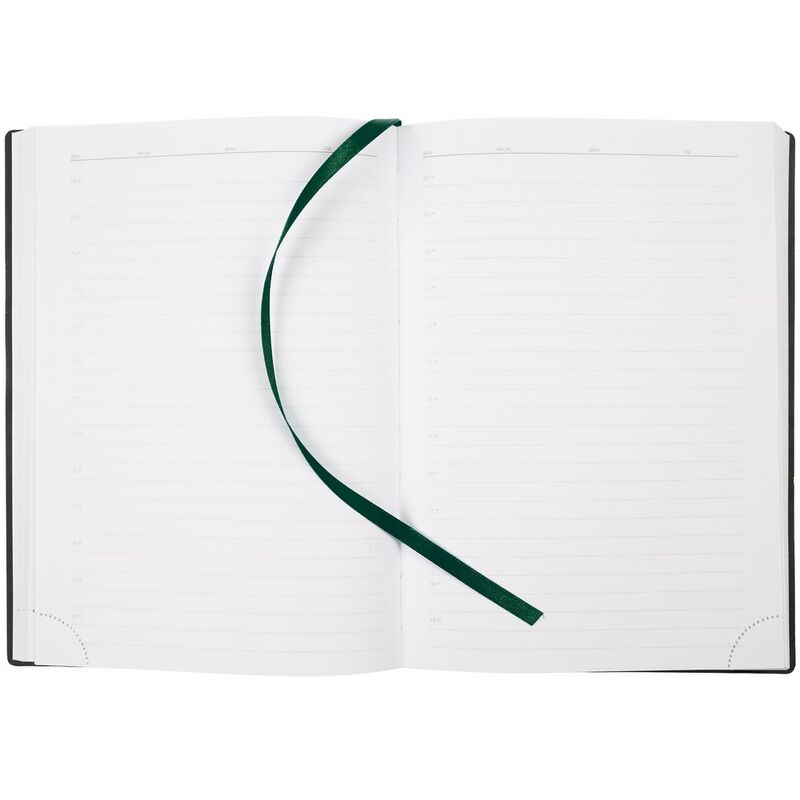 Ежедневник Vivian Metal, недатированный, зеленый арт.16654.09