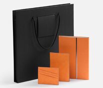 Набор Petrus Flap, оранжевый арт.16637.20