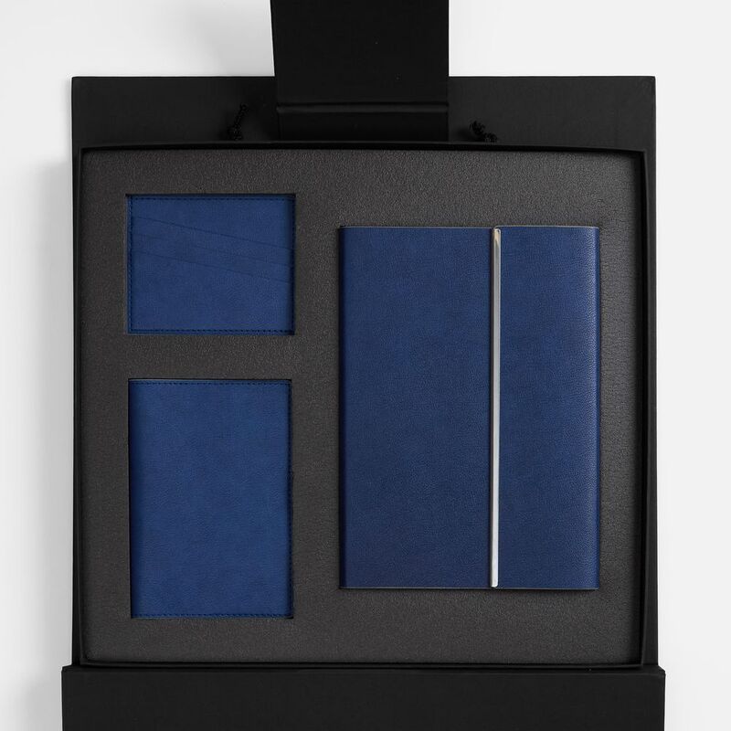 Набор Petrus Flap, синий арт.16637.40