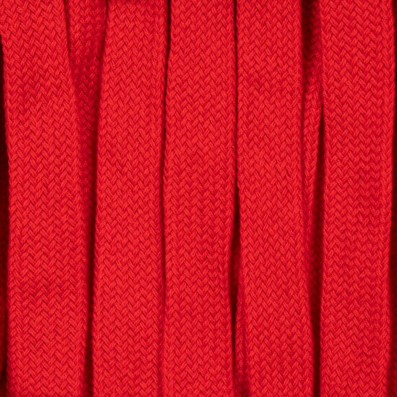 Плоский шнур Cord S, красный, 30 см арт.19709.50.30cm