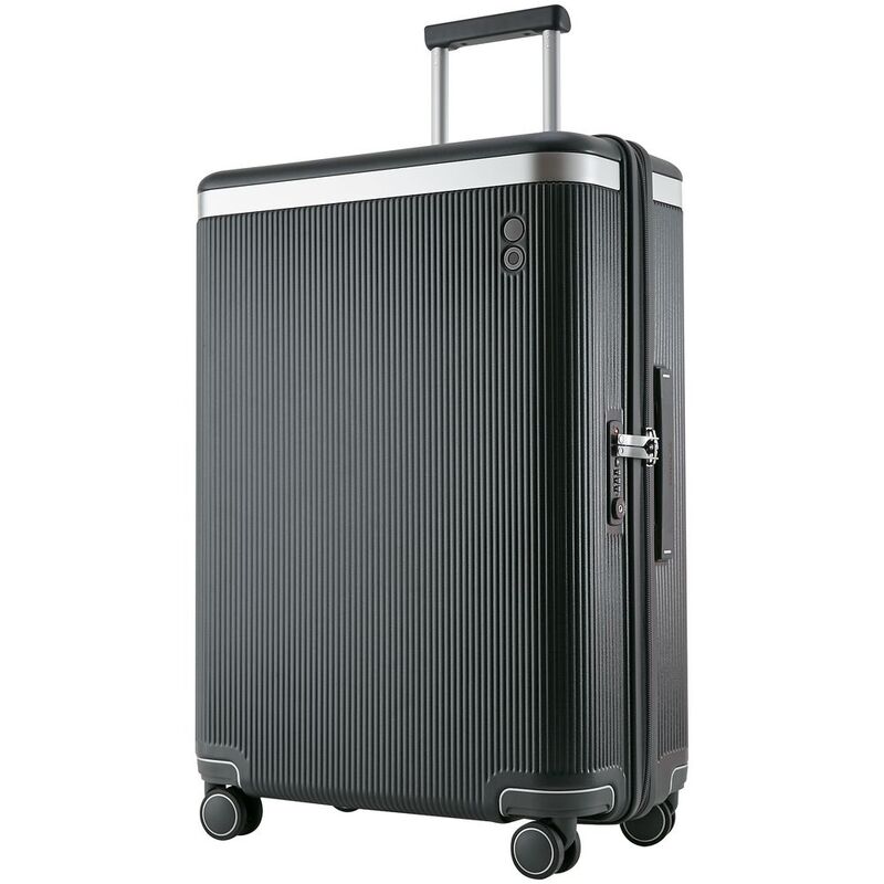 Чемодан Dynasty L, темно-серый арт.16650.13