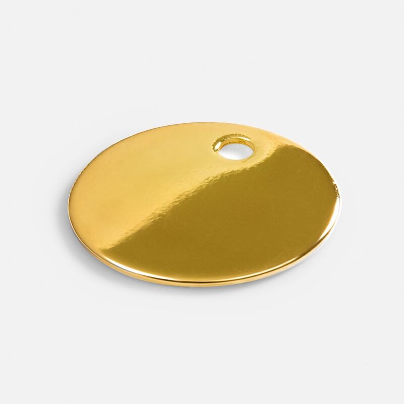 Шильдик металлический Alfa Sirkel, золотистый глянцевый арт.19725.01