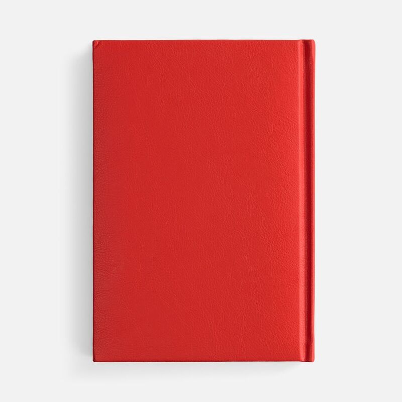 Ежедневник Baza, датированный, красный арт.18290.50