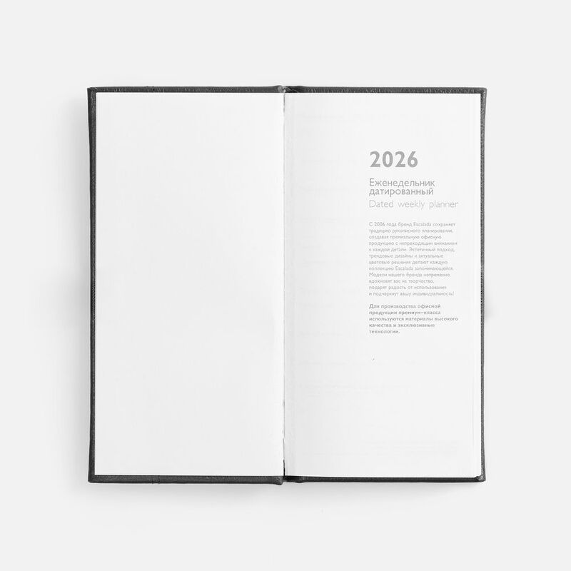 Еженедельник Baza, датированный, черный арт.18295.30