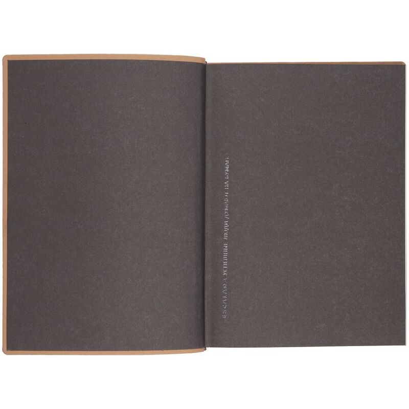 Ежедневник Anaconda, недатированный, серебристый арт.18296.10