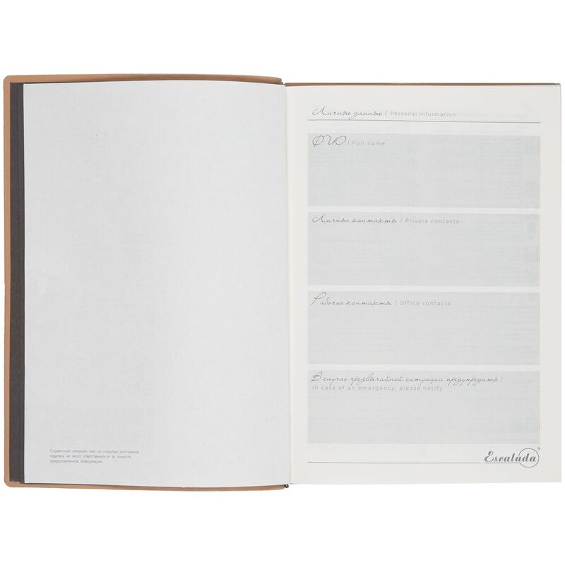 Ежедневник Anaconda, недатированный, серебристый арт.18296.10