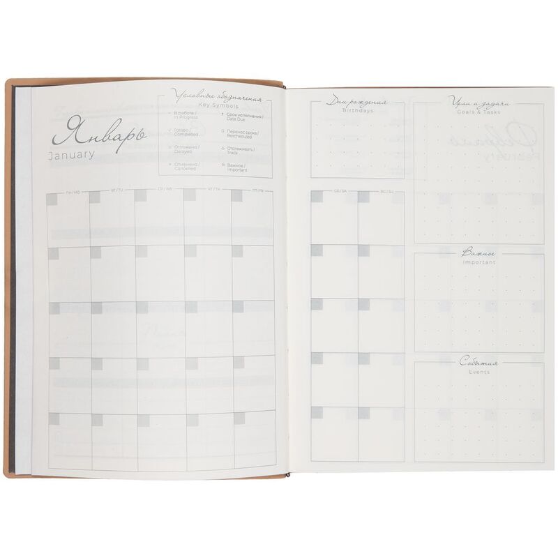 Ежедневник Anaconda, недатированный, серебристый арт.18296.10