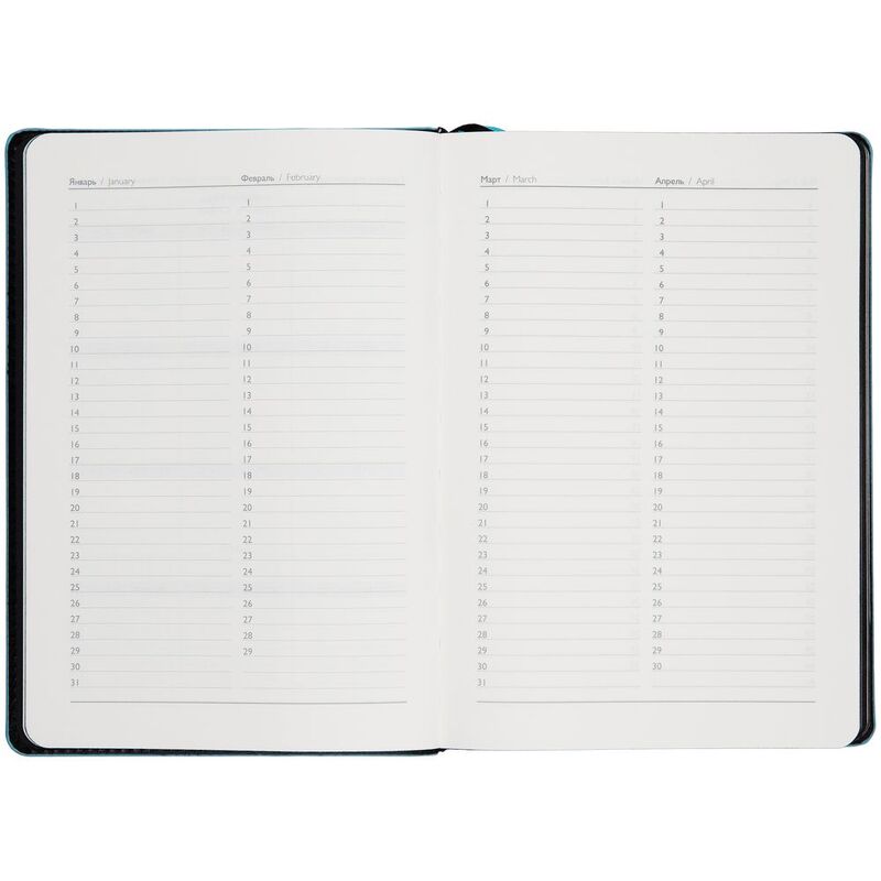 Ежедневник Alanis, недатированный, черный с голубым арт.18299.14