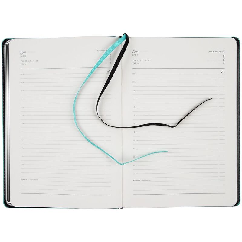 Ежедневник Alanis, недатированный, черный с голубым арт.18299.14