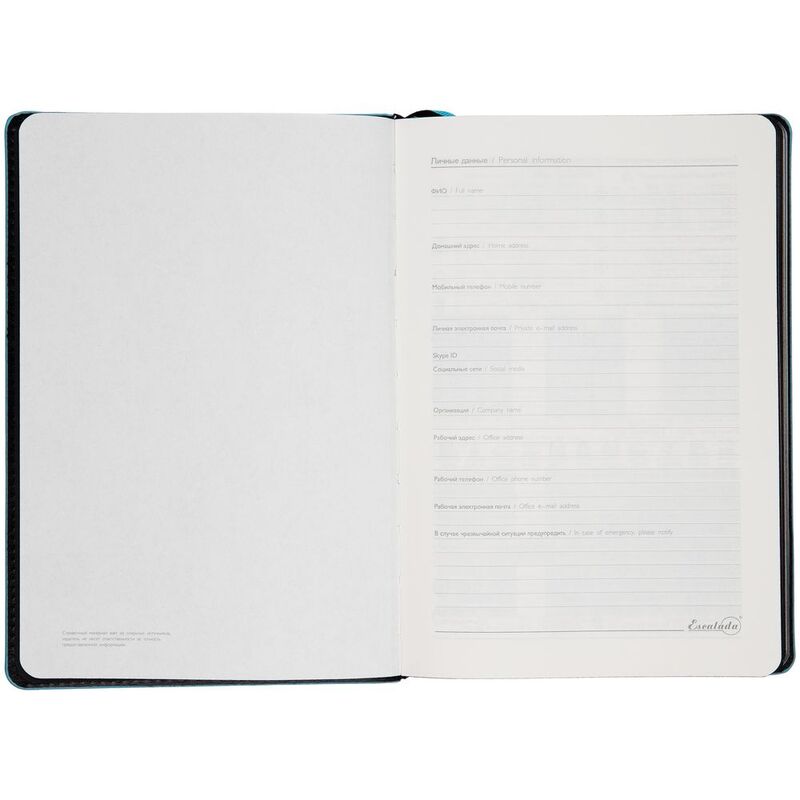 Ежедневник Alanis, недатированный, черный с голубым арт.18299.14