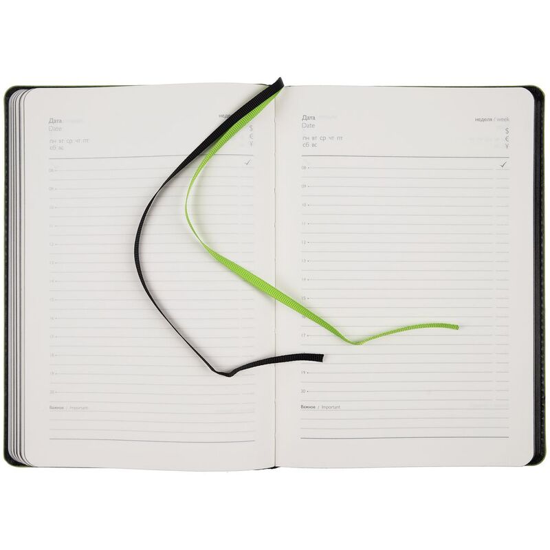 Ежедневник Alanis, недатированный, черный с зеленым арт.18299.39