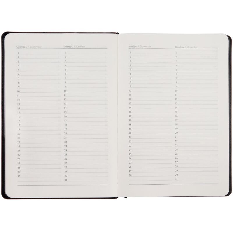 Ежедневник Alanis, недатированный, черный с фиолетовым арт.18299.37