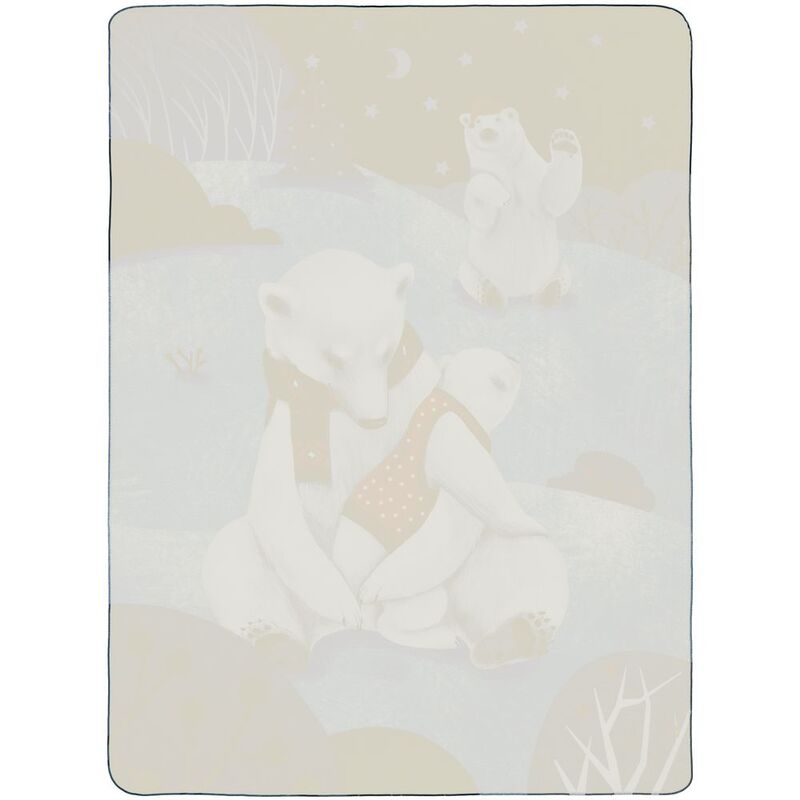 Флисовый плед Wintart Bear арт.18649.00