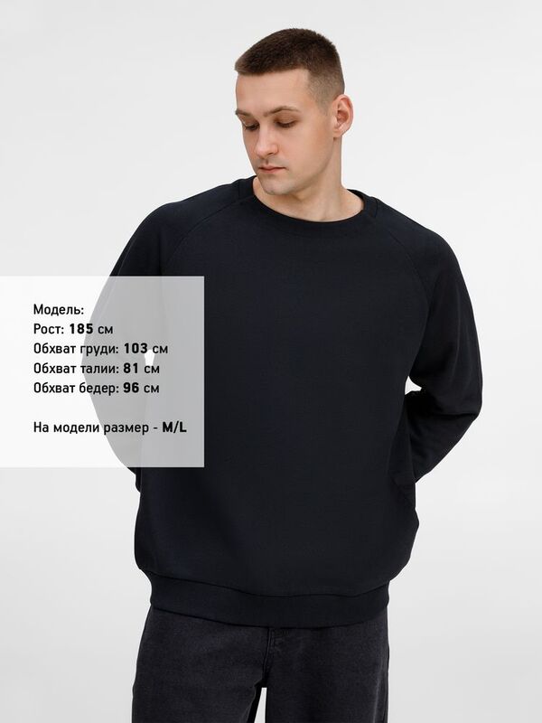 Свитшот унисекс Sinkopa, черный арт.19035.30