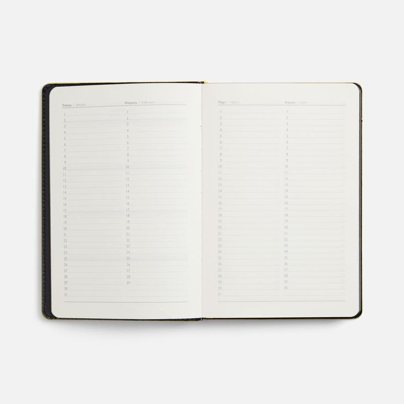 Ежедневник Alanis, недатированный, черный с желтым арт.18299.38