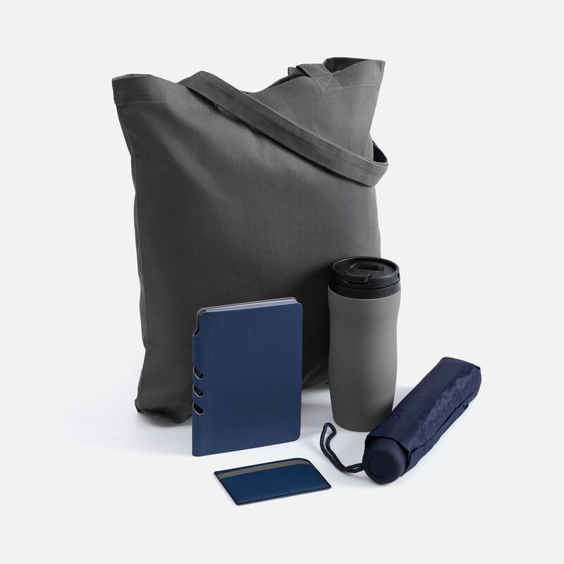 Набор Dual Umbrella, синий арт.22420.40