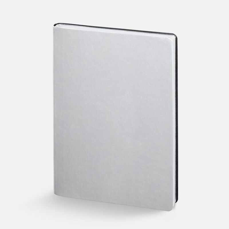 Ежедневник Nebraska Flex, недатированный, ver. 2, серебристый арт.22008.10