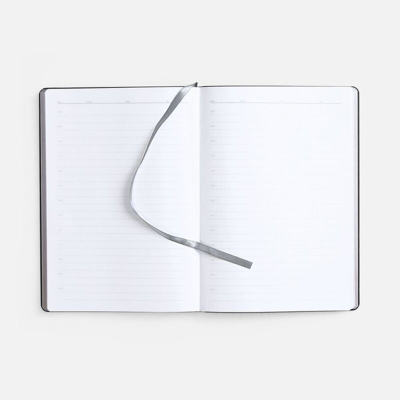 Ежедневник Nebraska Flex, недатированный, ver. 2, серебристый арт.22008.10