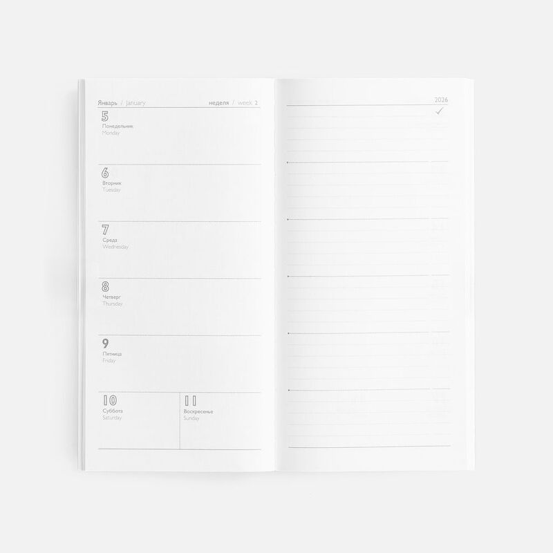 Еженедельник Baza, датированный, серый арт.18295.10