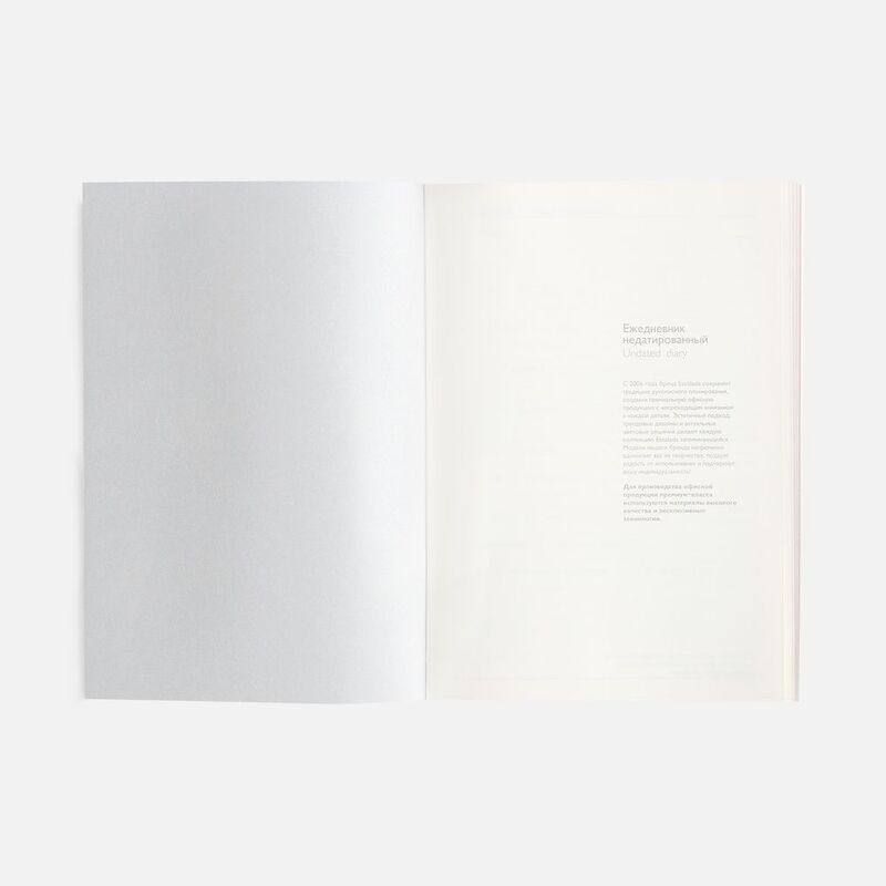 Ежедневник Repute, недатированный, серый арт.20132.10