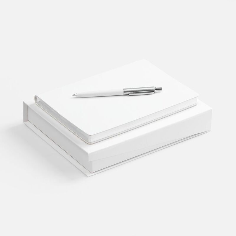 Набор Nebraska Flex, белый с серебристым арт.20128.61