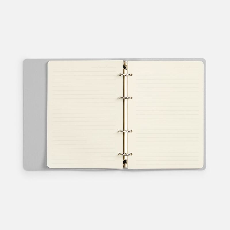 Ежедневник Ringo, недатированный, серебристый арт.22091.10