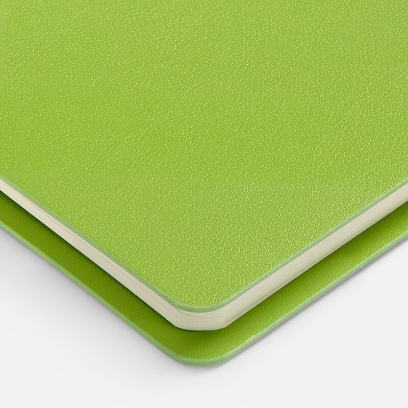 Ежедневник Ringo, недатированный, зеленый арт.22091.90