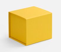 Коробка Alian, желтая арт.7887.80