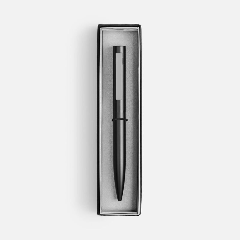 Ручка шариковая Inkolor в футляре, черная с серым арт.20509.10