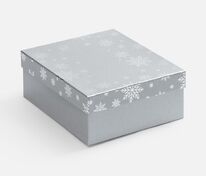 Коробка Wintry, серебристая арт.25022.10