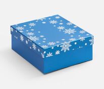 Коробка Wintry, синяя арт.25022.40