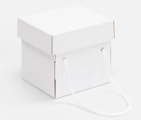 Коробка Kitbag, ver.2, белая арт.25174.60